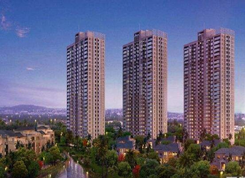 2025金域仕家的醉新价格是多少？